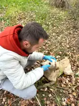 Nehre Düşen Köpek Kurtarıldı